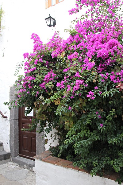 Patmos 5